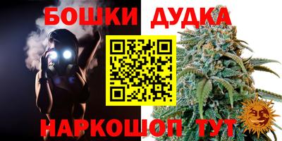 стаф Будённовск