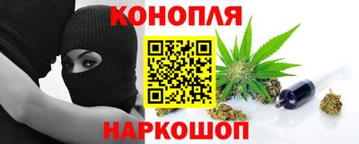 стаф Будённовск