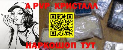 стаф Будённовск